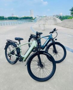 G2 Phoenix tsebike