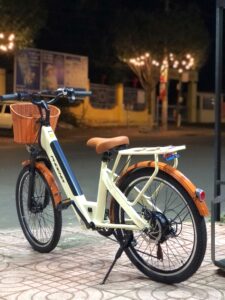 xe đạp trợ lực điện phoenix D2