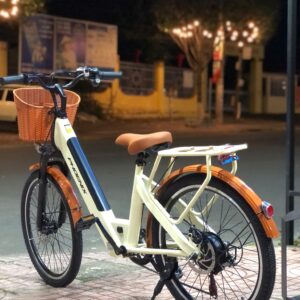 xe đạp trợ lực điện phoenix D2