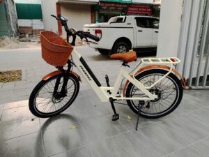 xe đạp trợ lực điện phoenix D2