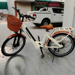 xe đạp trợ lực điện phoenix D2