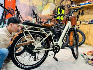 xe đạp trợ lực điện phoenix D2