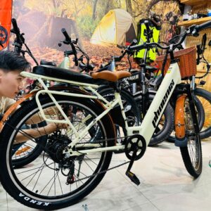 xe đạp trợ lực điện phoenix D2