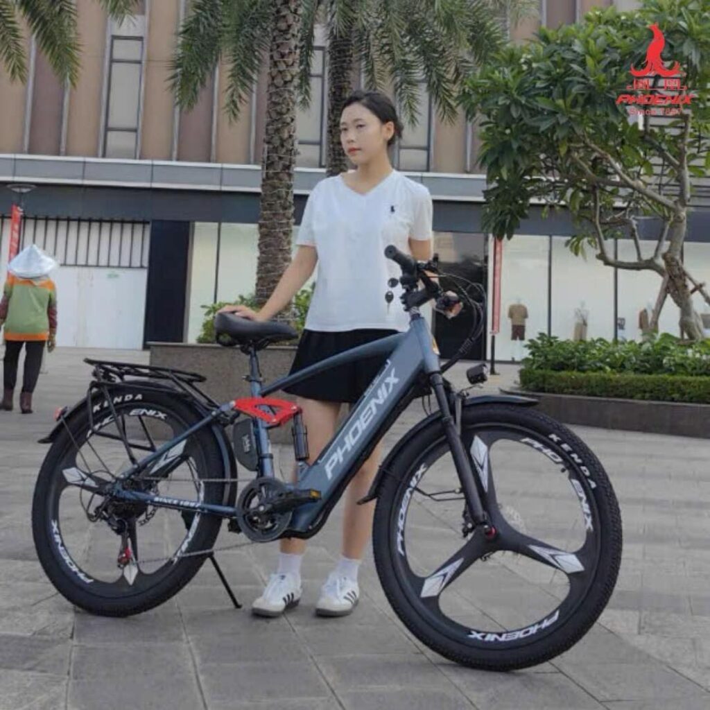 Phoenix Q1 kiểu dáng đẹp mắt