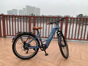 Phoenix TR1