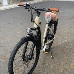 xe đạp điện trợ lực TR1