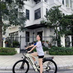 xe đạp trợ lực điện phoenix D2