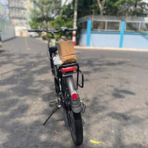 xe dap tro luc phoenix g2
