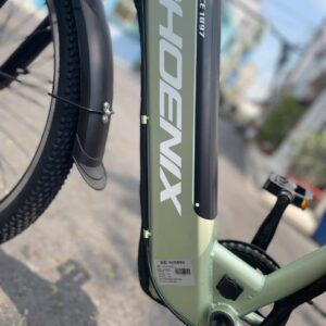 xe dap tro luc phoenix g2