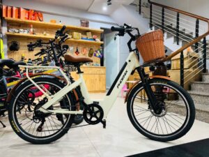 xe đạp trợ lực điện phoenix D2