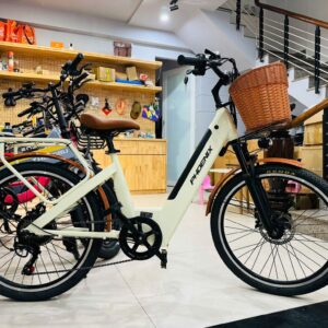 xe đạp trợ lực điện phoenix D2