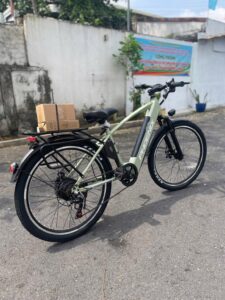 xe dap tro luc phoenix g2 2