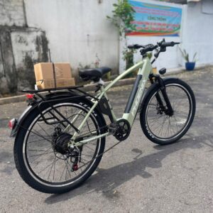 xe dap tro luc phoenix g2 2