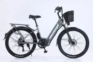 Xe đạp trợ lực C1 Phoenix phiên bản màu xám chì.