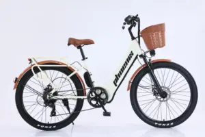 Xe đạp trợ lực C1 Phoenix phiên bản màu be.