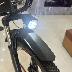 Xe Đạp Trợ Lực Zhengbu H2 pro