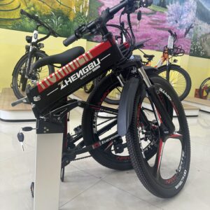 Xe Đạp Trợ Lực Zhengbu H2 pro