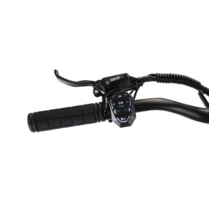 Xe scooter điện Teverun Blade Mini Ultra