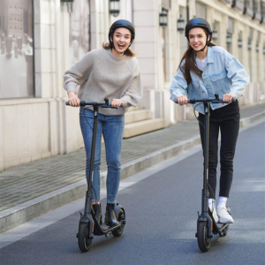 Segway Ninebot Kick Scooter F25