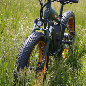 Xe đạp trợ lực điện Big Shark Châu Âu