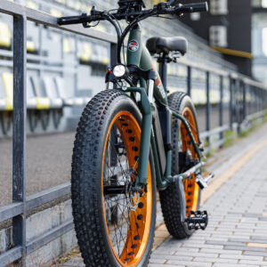 Xe đạp trợ lực điện Big Shark Châu Âu