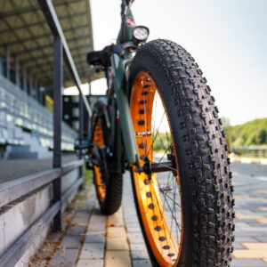 Xe đạp trợ lực điện Big Shark Châu Âu