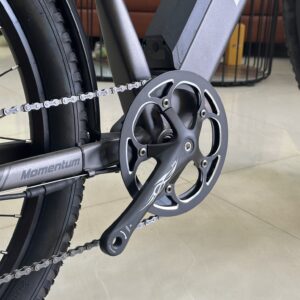 xe-dap-tro-luc-dien-burchda-rx70