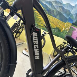 xe-dap-tro-luc-dien-burchda-rx70