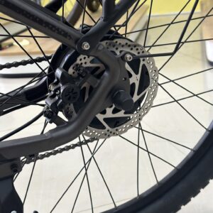 xe-dap-tro-luc-dien-burchda-rx70