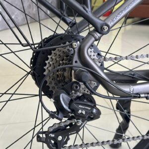 xe-dap-tro-luc-dien-burchda-rx70