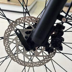 xe-dap-tro-luc-dien-burchda-rx70