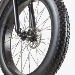 xe đạp trợ lực điện burchda rx70