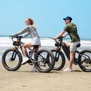 Xe đạp điện bánh béo Burchda RX80 tiêu chuẩn CE Châu Âu.