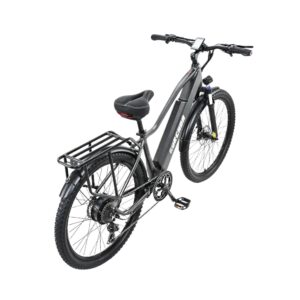 xe-dap-tro-luc-dien-burchda-rx70