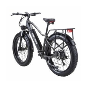 xe-dap-tro-luc-dien-burchda-rx70