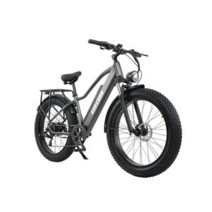 xe-dap-tro-luc-dien-burchda-rx70