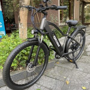 xe-dap-tro-luc-dien-burchda-rx70