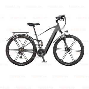 xe đạp trợ lực Phoenix M19