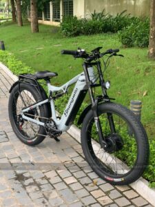 Shengmilo S600