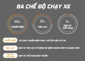 Xe đạp thể thao trợ lực điện Phoenix 999