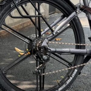 xe đạp trợ lực Phoenix M19