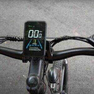 xe đạp trợ lực Phoenix M19