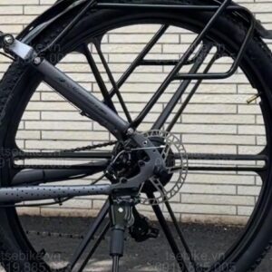 xe đạp trợ lực Phoenix M19