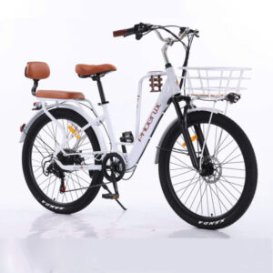 Xe đạp trợ lực điện Phoenix CF