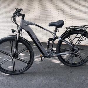 xe đạp trợ lực Phoenix M19