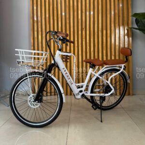 Xe đạp trợ lực điện giá rẻ Phoenix CF tại cửa hàng TSEBIKE