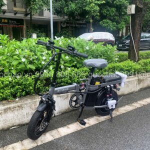 xe đạp trợ lực engwe t14