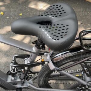 xe đạp trợ lực Phoenix M19