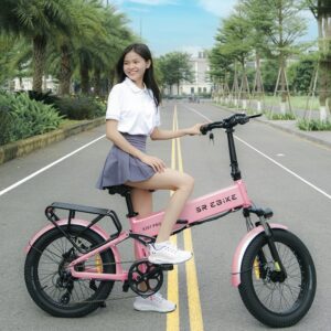 Xe-dap-tro-luc-dien-sr-ebike-x20T-Pro