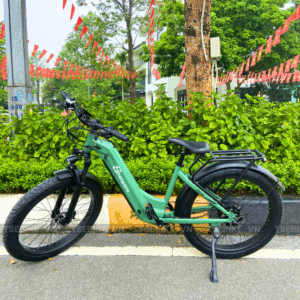 Chỉ có tại TseBike – Mua xe Shengmilo K500